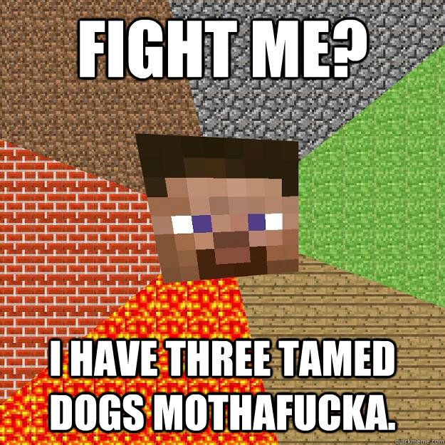 Fight me? I have three tamed dogs mothafucka.  Minecraft