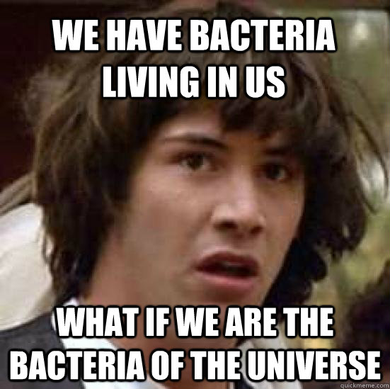 We have bacteria living in us What if we are the bacteria of the universe  conspiracy keanu