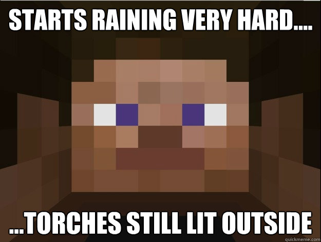 Starts raining very hard.... ...Torches still lit outside  Minecraft Logic