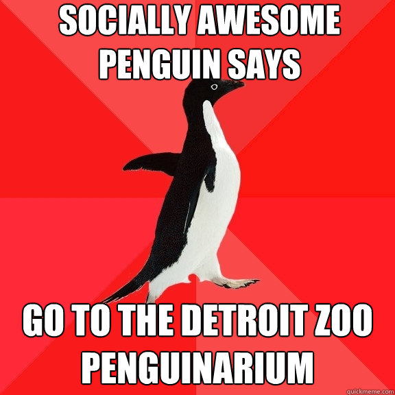 Socially awesome penguin says  go to the detroit zoo penguinarium  Socially Awesome Penguin