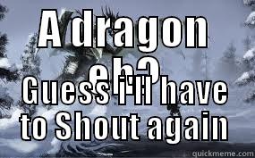 SKYRIM LOGIC - A DRAGON EH? GUESS I'LL HAVE TO SHOUT AGAIN Misc