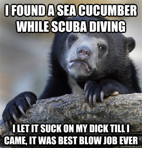 I found a sea cucumber while scuba diving I let it suck on my dick till I came, it was best blow job ever - I found a sea cucumber while scuba diving I let it suck on my dick till I came, it was best blow job ever  Confession Bear