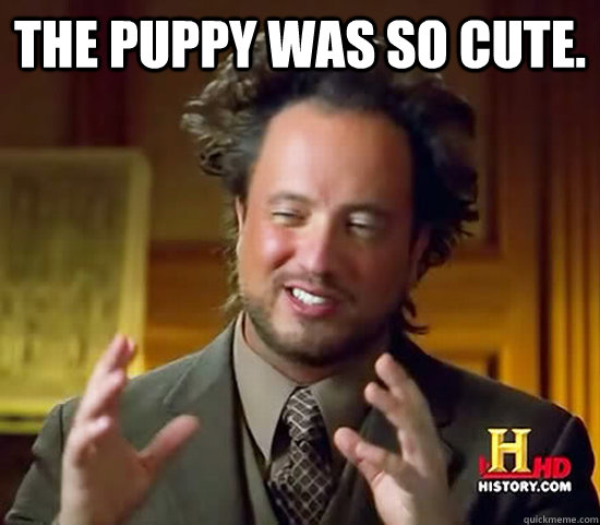 The Puppy Was So Cute.   Ancient Aliens