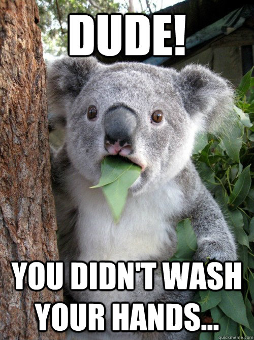 DUDE! You didn't wash your hands... - DUDE! You didn't wash your hands...  koala bear