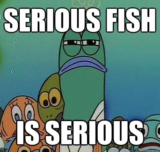 Serious fish Is serious - Serious fish Is serious  Serious fish SpongeBob