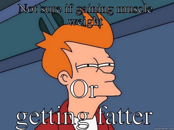 NOT SURE IF GAINING MUSCLE WEIGHT OR GETTING FATTER Futurama Fry