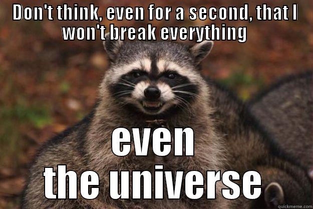 DON'T THINK, EVEN FOR A SECOND, THAT I WON'T BREAK EVERYTHING EVEN THE UNIVERSE Evil Plotting Raccoon