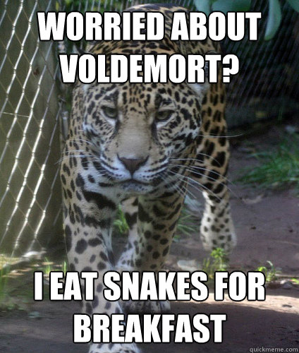 Worried about Voldemort? I eat snakes for breakfast - Worried about Voldemort? I eat snakes for breakfast  Jaguar Security