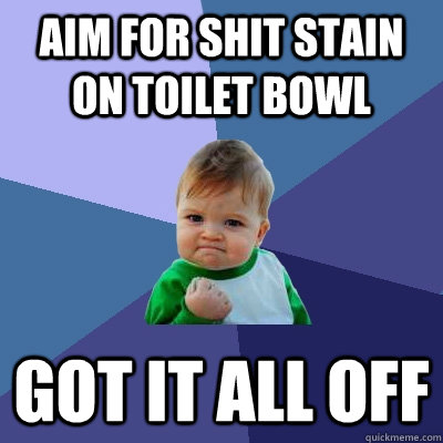 Aim for shit stain on toilet bowl  got it all off   Success Kid