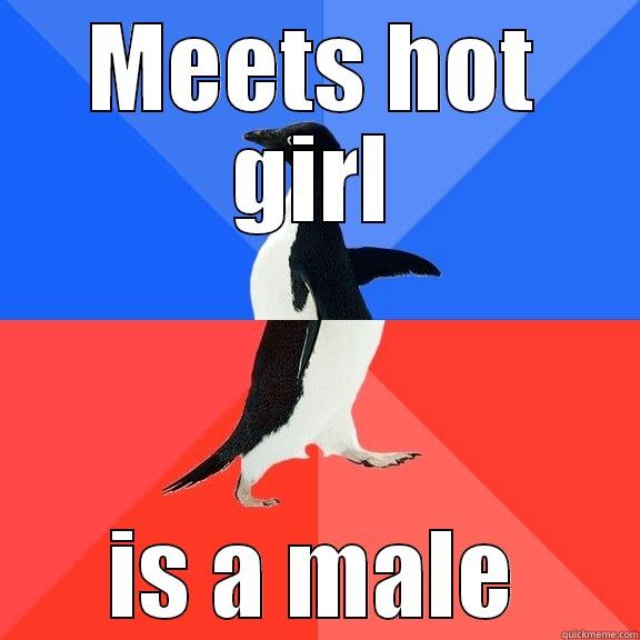 MEETS HOT GIRL IS A MALE Socially Awkward Awesome Penguin