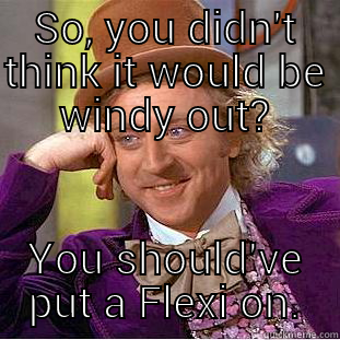 SO, YOU DIDN'T THINK IT WOULD BE WINDY OUT? YOU SHOULD'VE PUT A FLEXI ON. Condescending Wonka