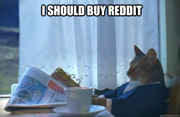 I SHOULD BUY REDDIT  Sophisticated Cat