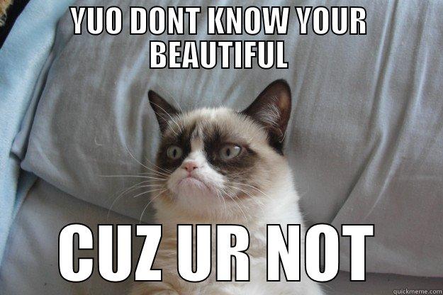 YUO DONT KNOW YOUR BEAUTIFUL CUZ UR NOT Grumpy Cat