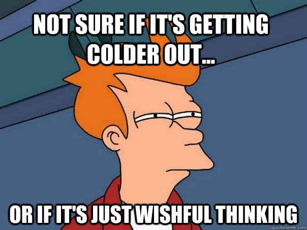 Not sure if it's getting colder out... Or if it's just wishful thinking  Futurama Fry