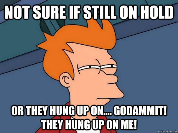 Not sure if still on hold Or they hung up on.... GODAMMIT! they hung up on me!  Futurama Fry