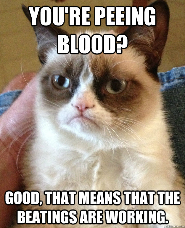 You're peeing blood? Good, that means that the beatings are working. - You're peeing blood? Good, that means that the beatings are working.  Misc
