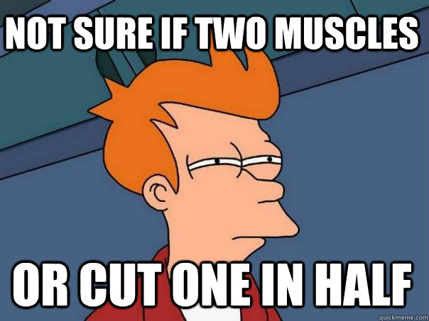 Not sure if two muscles or cut one in half  Futurama Fry