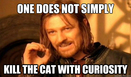 One Does Not Simply kill the cat with curiosity  Boromir