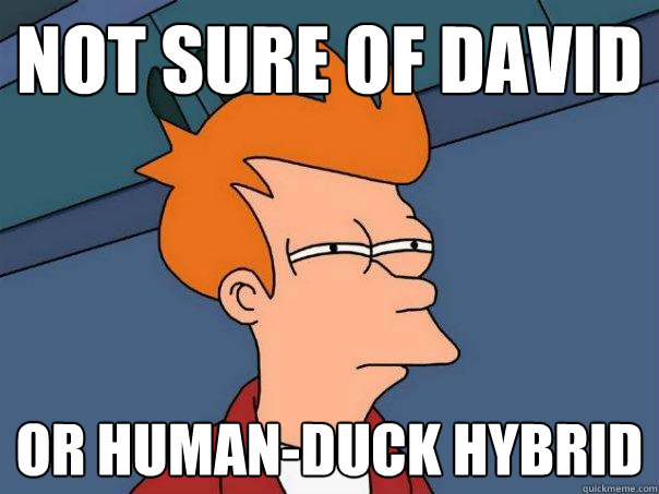 not sure of david or human-duck hybrid  Futurama Fry