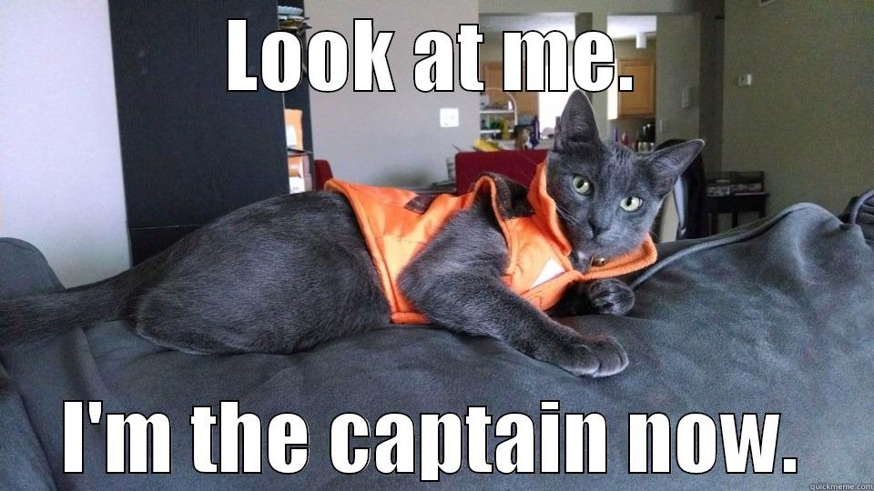 I'm the captain now - LOOK AT ME. I'M THE CAPTAIN NOW. Misc