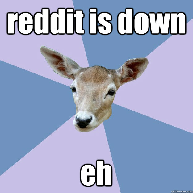 reddit is down eh  