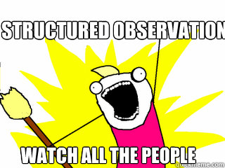 Structured Observation watch all the people - Structured Observation watch all the people  All The Things