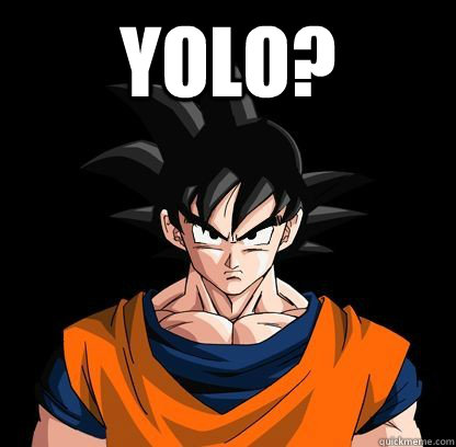 yolo?  - yolo?   YOLO GOKU!