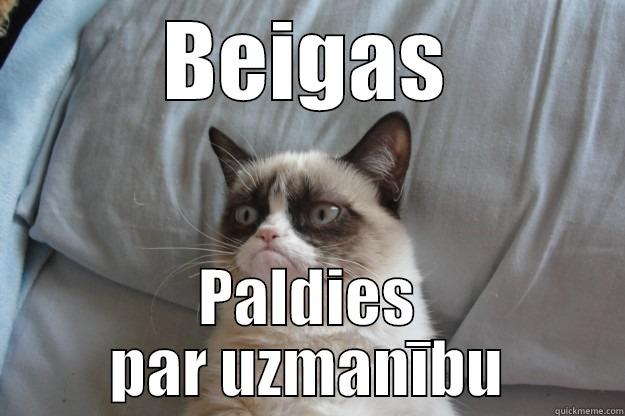 Beigas lai beidzas - BEIGAS PALDIES PAR UZMANĪBU Grumpy Cat