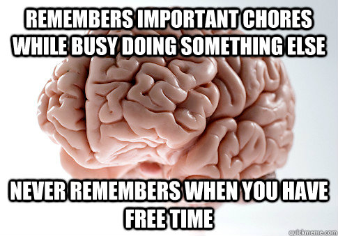 remembers important chores while busy doing something else  never remembers when you have free time   Scumbag Brain