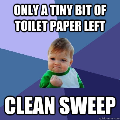 only a tiny bit of toilet paper left clean sweep  Success Kid