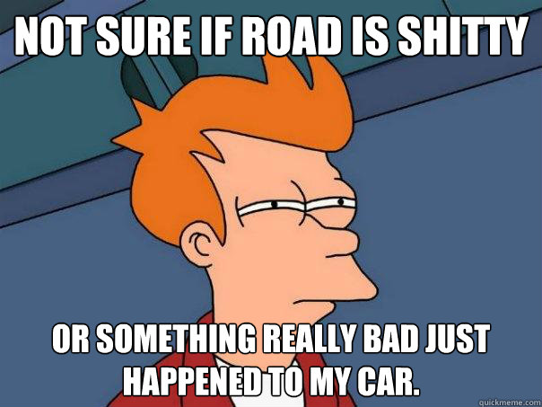 Not sure if road is shitty Or something really bad just happened to my car.  Futurama Fry