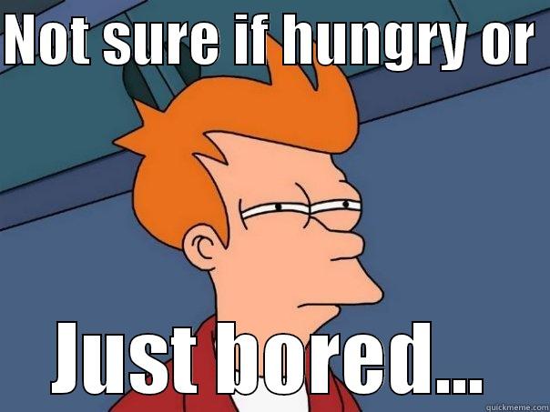 Not sure if hungry or just bored... - NOT SURE IF HUNGRY OR  JUST BORED... Futurama Fry