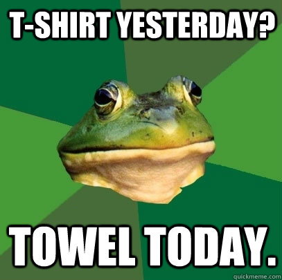 T-Shirt Yesterday? Towel Today. - T-Shirt Yesterday? Towel Today.  Foul Bachelor Frog