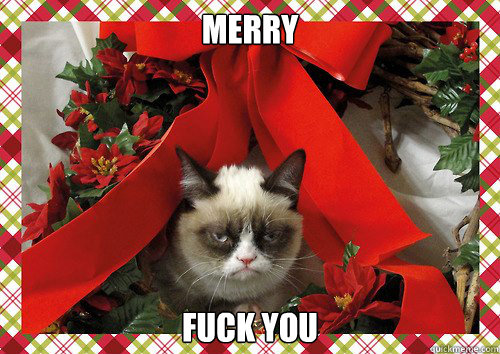 Merry Fuck you  A Grumpy Cat Christmas