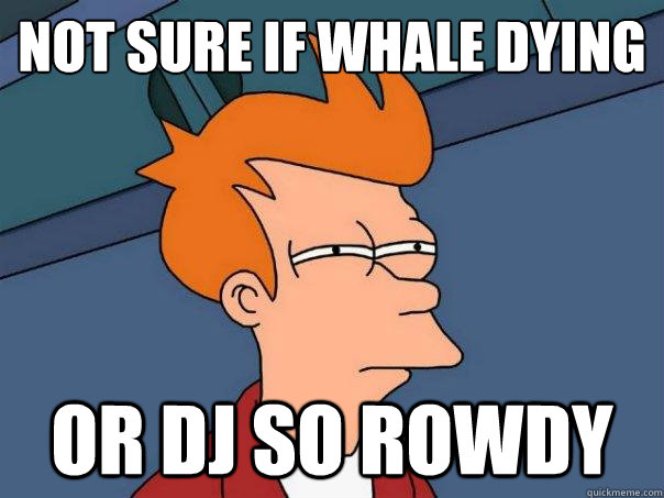 Not sure if whale dying Or DJ So Rowdy  Futurama Fry