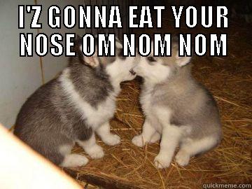 NOM NOM NOM - I'Z GONNA EAT YOUR NOSE OM NOM NOM  Misc