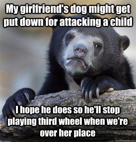 My girlfriend's dog might get put down for attacking a child I hope he does so he'll stop playing third wheel when we're over her place  Confession Bear