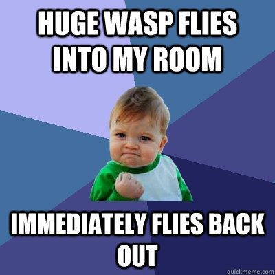 Huge wasp flies into my room immediately flies back out  Success Kid