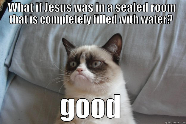 WHAT IF JESUS WAS IN A SEALED ROOM THAT IS COMPLETELY FILLED WITH WATER?  GOOD Grumpy Cat