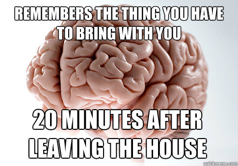 REMEMBERS THE THING YOU HAVE TO BRING WITH YOU 20 MINUTES AFTER LEAVING THE HOUSE   Scumbag Brain