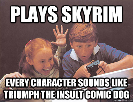 Plays Skyrim Every character sounds like triumph the insult comic dog  skyrim