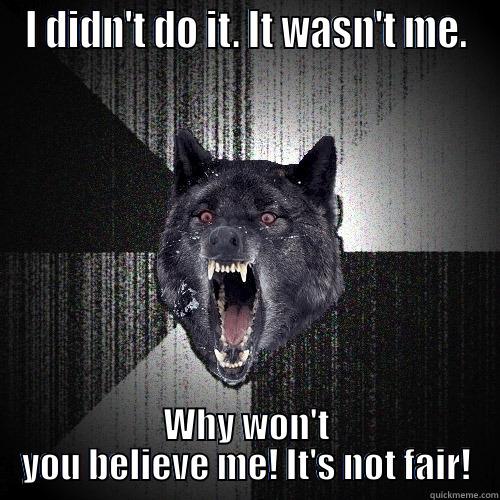 I DIDN'T DO IT. IT WASN'T ME. WHY WON'T YOU BELIEVE ME! IT'S NOT FAIR! Insanity Wolf