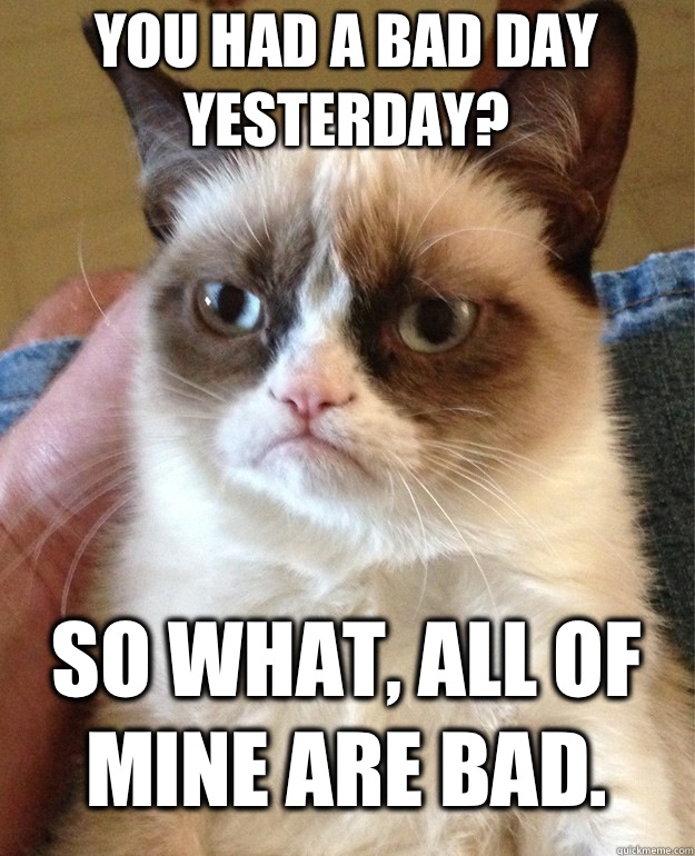 You had a bad day yesterday? So what, all of mine are bad.  Grumpy Cat