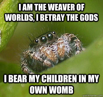 I am the weaver of worlds, I betray the Gods I bear my children in my own womb  Misunderstood Spider