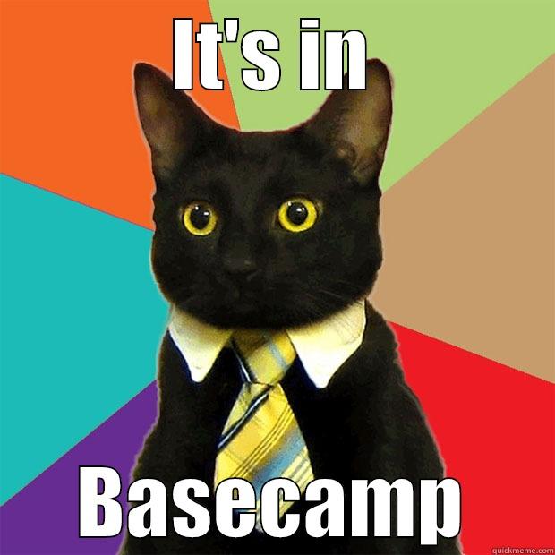 IT'S IN BASECAMP Business Cat