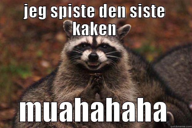 JEG SPISTE DEN SISTE KAKEN MUAHAHAHA Evil Plotting Raccoon