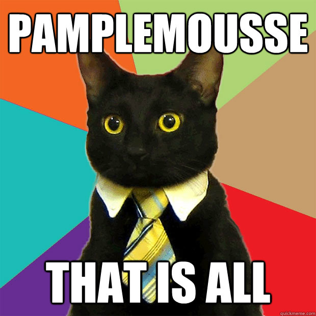 Pamplemousse That is all  Business Cat