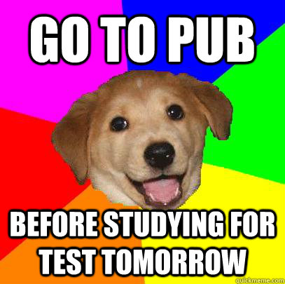 GO TO PUB BEFORE STUDYING FOR TEST TOMORROW  Advice Dog