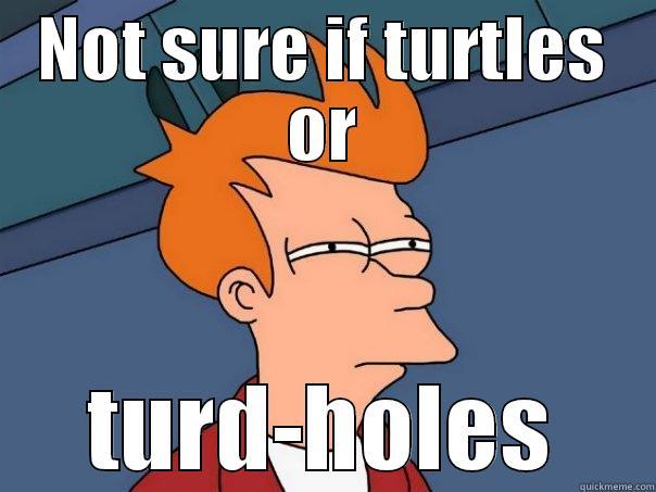 NOT SURE IF TURTLES OR TURD-HOLES Futurama Fry