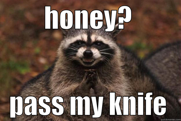 HONEY? PASS MY KNIFE Evil Plotting Raccoon